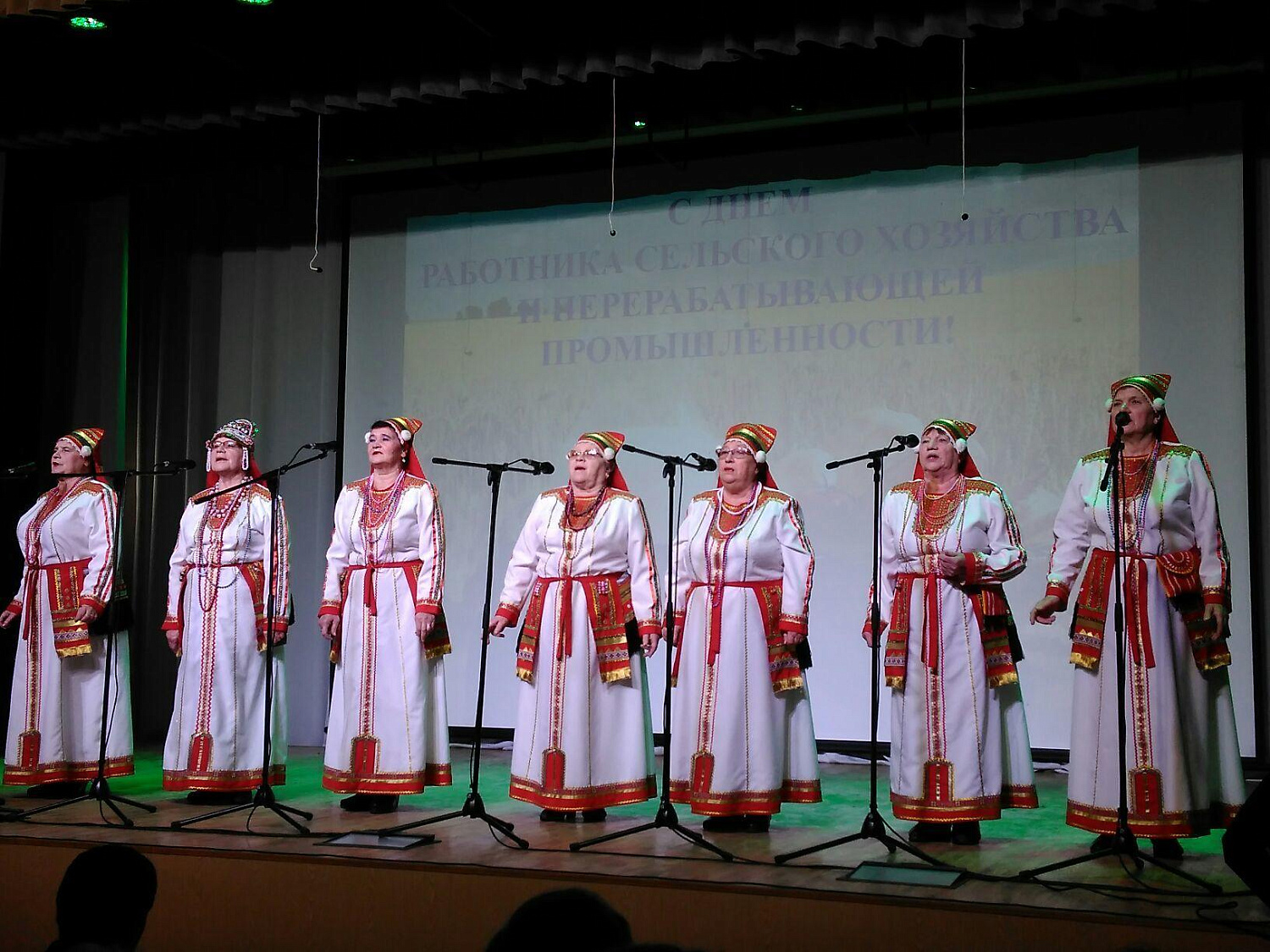 Народный ансамбль ветеранов «Рябинушка» («Пизёлнэ»)